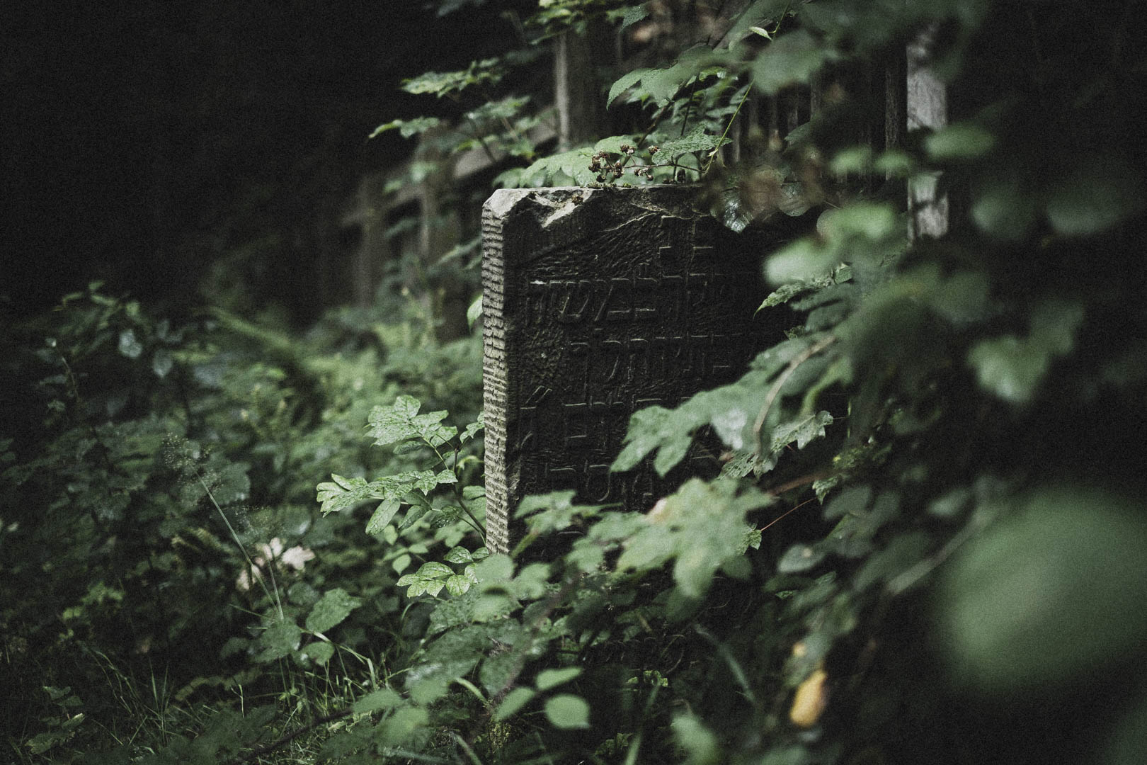 Obernkirchen, Jüdischer Friedhof